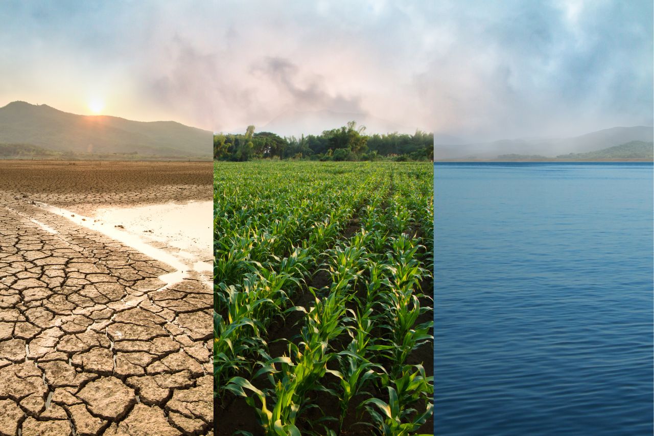 La influencia de la crisis climática en la seguridad alimentaria de Honduras