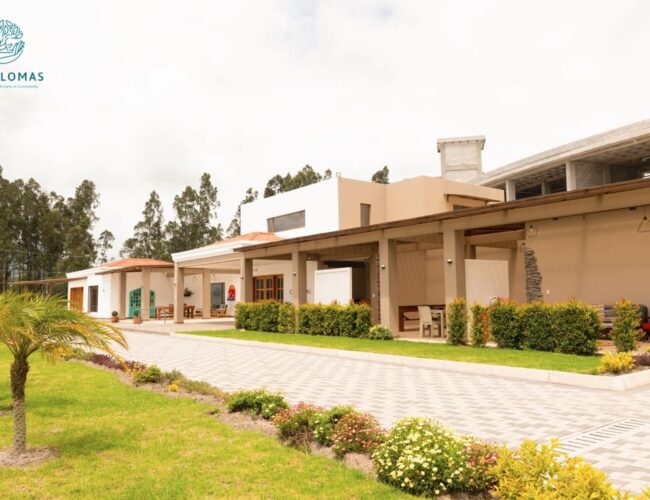 Guía completa para elegir una residencia de lujo para jubilados de San Petersburgo (Florida)
