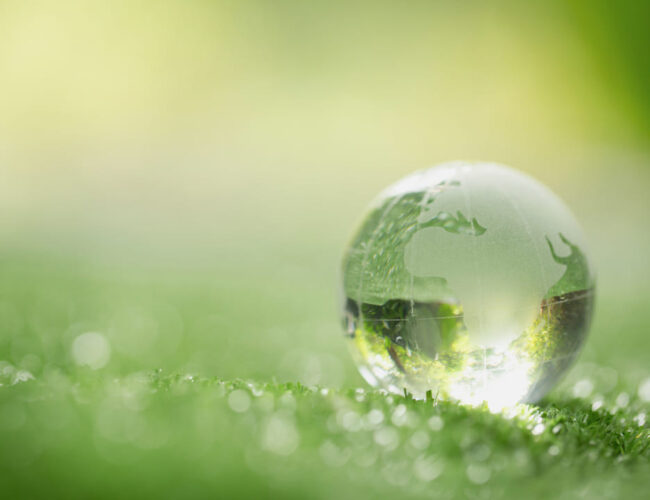 Transformando el mundo: gobernanza, sociedad y ambiente en Ficohsa